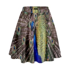 Multi Colored Peacock High Waist Skirt by Simbadda