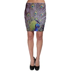 Peacock Bird Feathers Bodycon Skirt by Simbadda