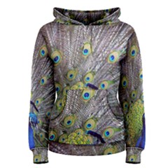 Peacock Bird Feathers Women s Pullover Hoodie by Simbadda