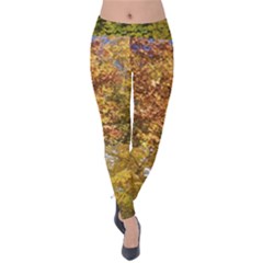 Spring, Summer, And Autumn, With Kitty Velvet Leggings by SusanFranzblau