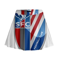 Shanghai Greenland Shenhua F C  Mini Flare Skirt by Valentinaart