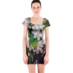 Tree Blossoms Short Sleeve Bodycon Dress by dawnsiegler