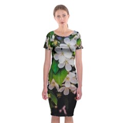 Tree Blossoms Classic Short Sleeve Midi Dress by dawnsiegler