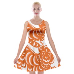 Chinese Zodiac Signs Tiger Star Orangehoroscope Velvet Skater Dress by Mariart