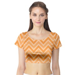 Zigzag  Pattern Short Sleeve Crop Top (tight Fit) by Valentinaart