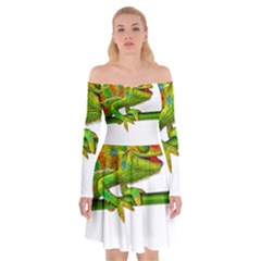 Chameleons Off Shoulder Skater Dress