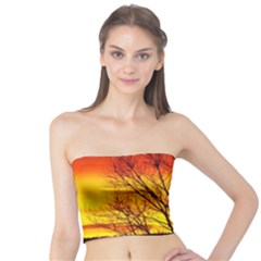 Sunset Abendstimmung Tube Top by BangZart