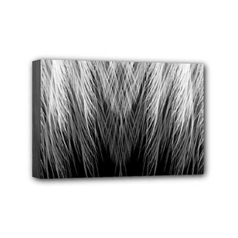 Feather Graphic Design Background Mini Canvas 6  X 4  by BangZart