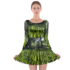 Green Grass Field Long Sleeve Skater Dress by paulaoliveiradesign