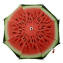 Piece Of Watermelon Hook Handle Umbrellas (Medium) View1