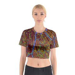 Neurobiology Cotton Crop Top by BangZart