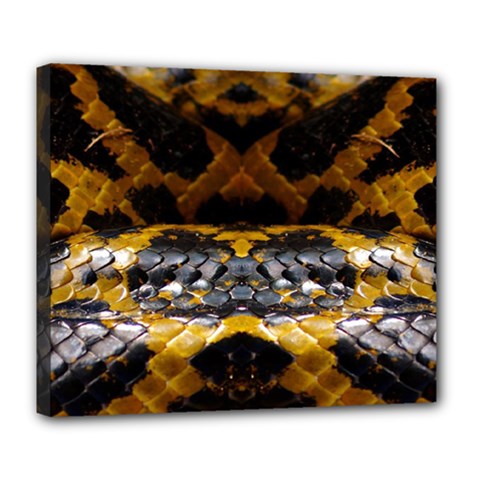 Textures Snake Skin Patterns Deluxe Canvas 24  X 20   by BangZart