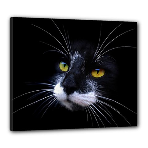 Face Black Cat Canvas 24  X 20  by BangZart