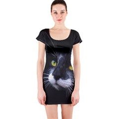 Face Black Cat Short Sleeve Bodycon Dress by BangZart