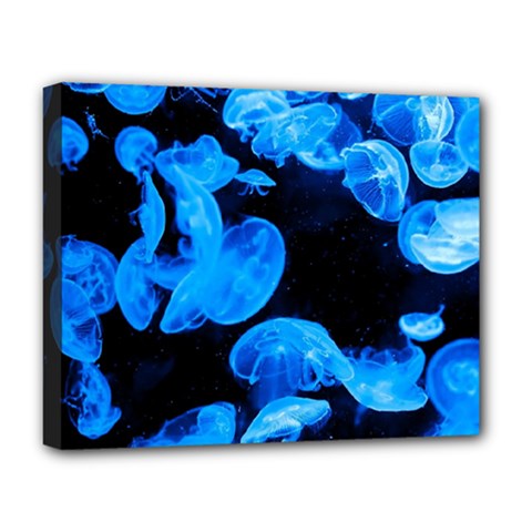 Jellyfish  Deluxe Canvas 20  X 16   by Valentinaart