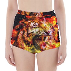 Fire Tiger High-waisted Bikini Bottoms by stockimagefolio1