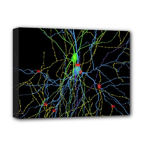 Synaptic Connections Between Pyramida Neurons And Gabaergic Interneurons Were Labeled Biotin During Deluxe Canvas 16  X 12   by Mariart