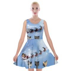 Christmas, Cute Cats Looking In The Sky To Santa Claus Velvet Skater Dress by FantasyWorld7