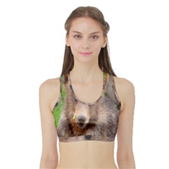 Baby Bear Animals Sports Bra With Border by Mariart