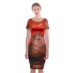 Cute Little Kitten, Red Background Classic Short Sleeve Midi Dress by FantasyWorld7