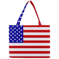 Usa 2887014 Mini Tote Bag by bestdealvariety