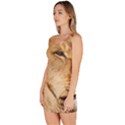 Big male lion looking right Bodycon Dress View2