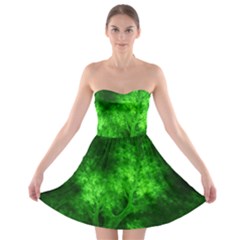 Artsy Bright Green Trees Strapless Bra Top Dress by allthingseveryone