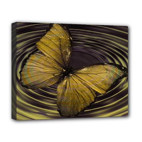 Butterfly Insect Wave Concentric Deluxe Canvas 20  X 16   by Celenk