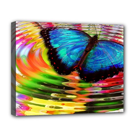 Blue Morphofalter Butterfly Insect Deluxe Canvas 20  X 16   by Celenk