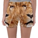 Africa African Animal Cat Close Up Sleepwear Shorts View2