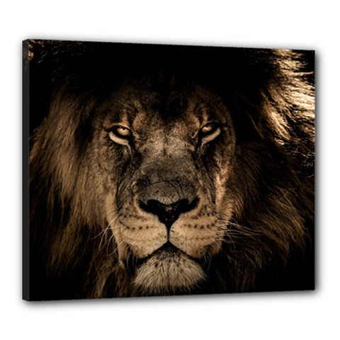 African Lion Mane Close Eyes Canvas 24  X 20  by BangZart