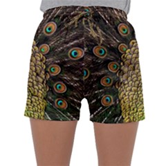 Peacock Feathers Wheel Plumage Sleepwear Shorts by BangZart