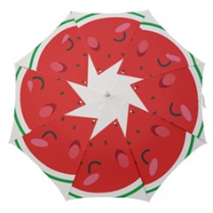 Watermelon Red Network Fruit Juicy Straight Umbrellas by BangZart