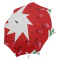 Watermelon Red Network Fruit Juicy Hook Handle Umbrellas (Medium) View2