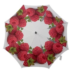 Fruit Healthy Vitamin Vegan Hook Handle Umbrellas (medium) by BangZart