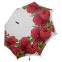 Fruit Healthy Vitamin Vegan Hook Handle Umbrellas (Large) View2