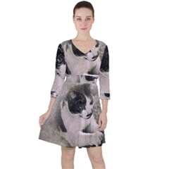 Cat Pet Art Abstract Vintage Ruffle Dress by Celenk