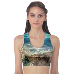 Canyon Mountain Landscape Nature Sports Bra by Celenk