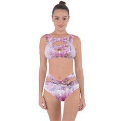 Flowers Magnolia Art Abstract Bandaged Up Bikini Set  by Nexatart