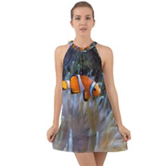 Clownfish 2 Halter Tie Back Chiffon Dress by trendistuff