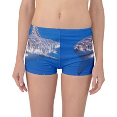 Great White Shark 5 Reversible Boyleg Bikini Bottoms by trendistuff