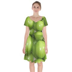 Apples 4 Short Sleeve Bardot Dress by trendistuff