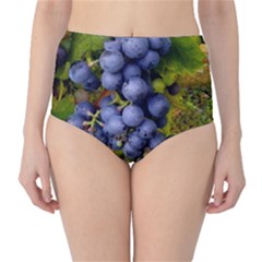 Grapes 1 High-waist Bikini Bottoms by trendistuff