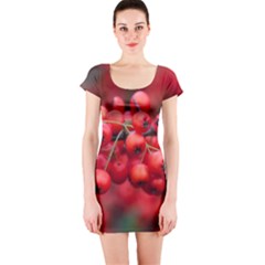 Red Berries 1 Short Sleeve Bodycon Dress by trendistuff