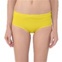 Gadsden Flag Don t tread on me Mid-Waist Bikini Bottoms View1