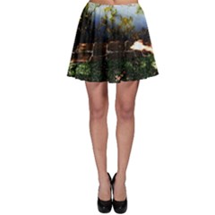 Highland Park 10 Skater Skirt by bestdesignintheworld