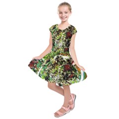 April   Birds Of Paradise 5 Kids  Short Sleeve Dress by bestdesignintheworld