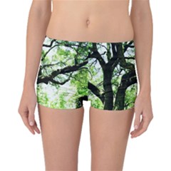 Lake Park 6 Boyleg Bikini Bottoms by bestdesignintheworld