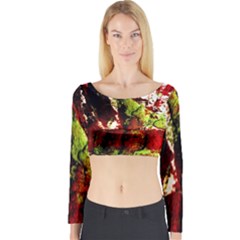 Collosium   Swards And Helmets 4 Long Sleeve Crop Top by bestdesignintheworld