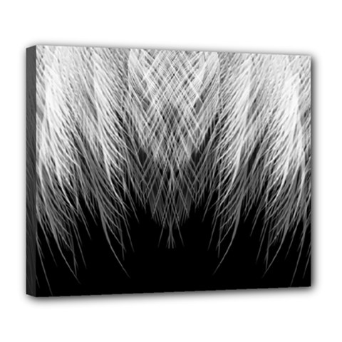 Feather Graphic Design Background Deluxe Canvas 24  X 20   by Sapixe